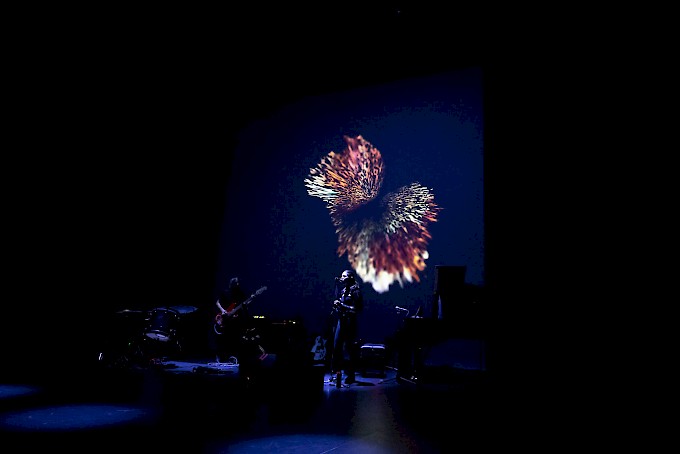 VAYA: MUSIC AND ART! VAYA: MUSIC AND ART!